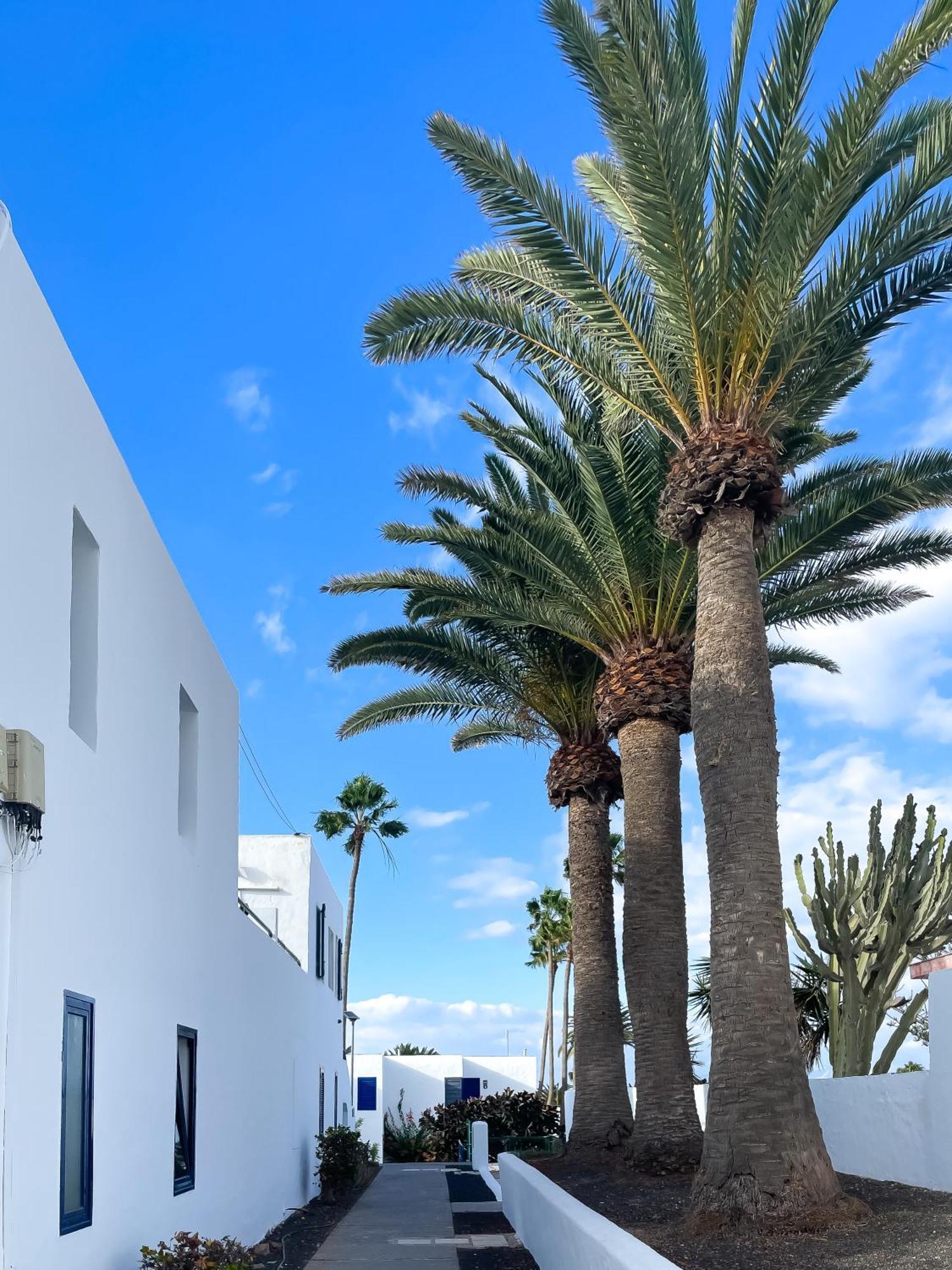 Barqueros Beach By Best Holidays Fuerteventura Corralejo Esterno foto